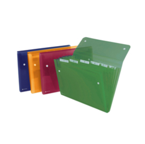 CARTELLA A 6 TASCHE 22X30CM ASSORT. ICE REXEL